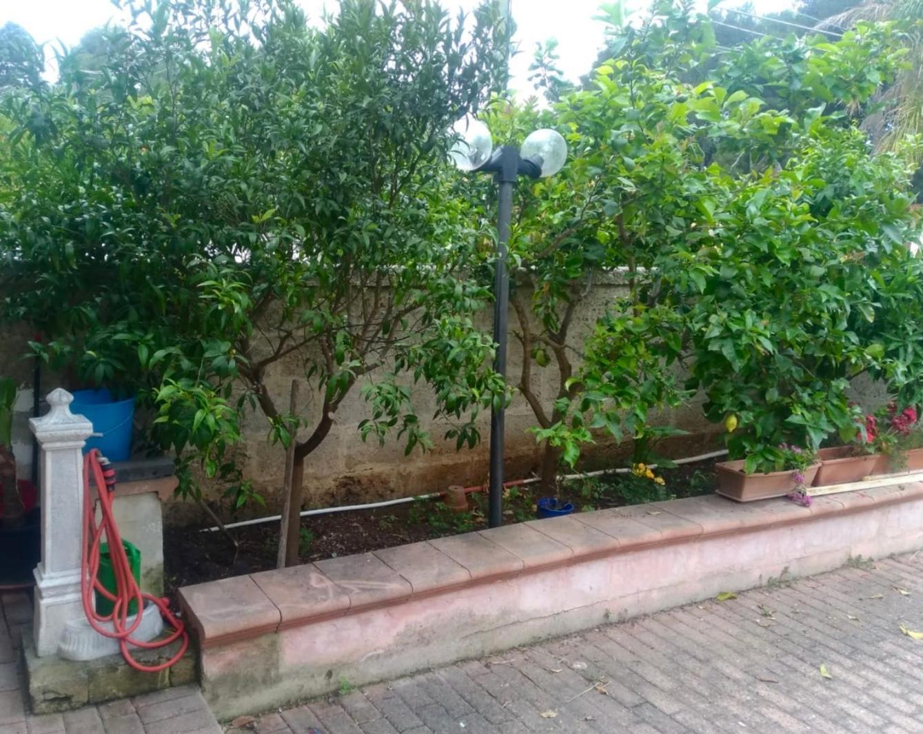 Dimora Degli Agrumi Villa Torre Lapillo Esterno foto